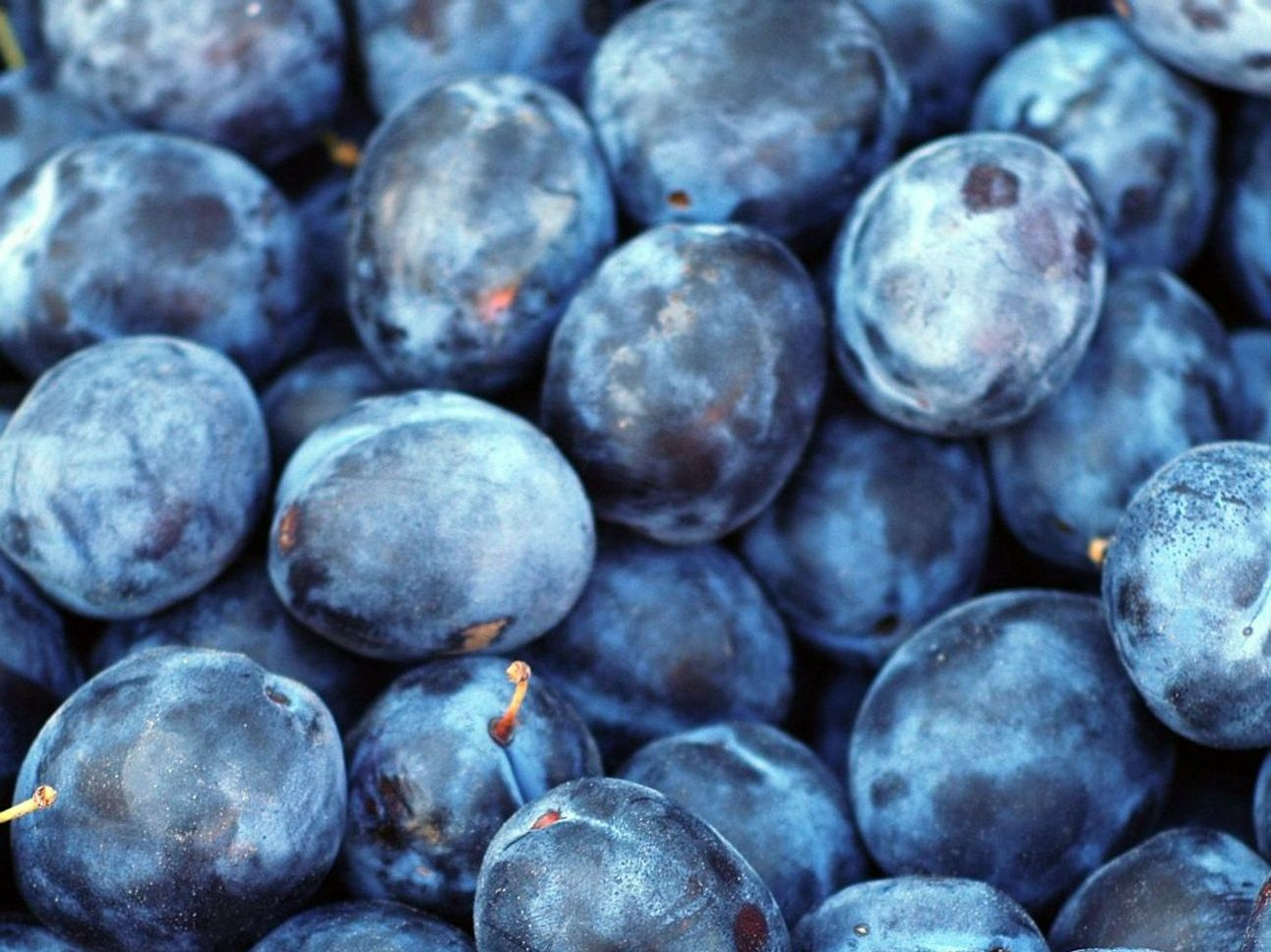 Frutas de primavera y verano entregadas